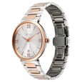 Xylys Quartz Analog with Date Silver Dial Two Toned Stainless Steel Strap Watch For Men - image number 2