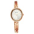 Titan Quartz Analog Silver Dial Metal Strap Watch for Women - image number 0