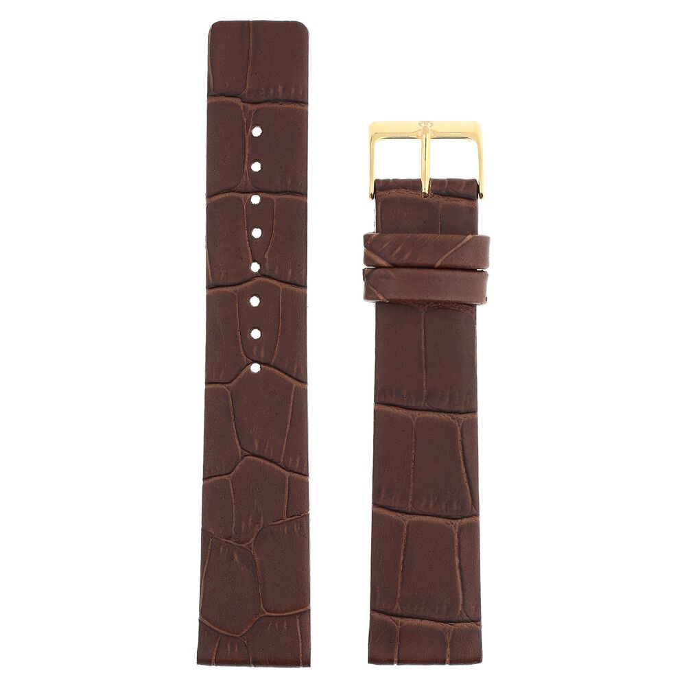 Titan watch straps hotsell