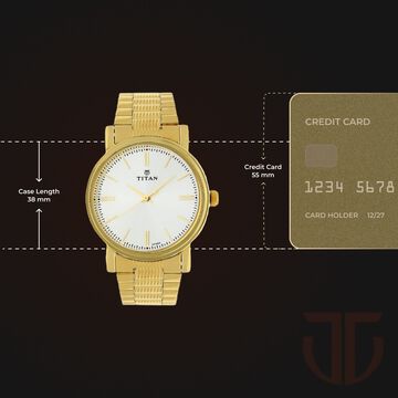 Titan Quartz Analog Silver Dial Golden Stainless Steel Strap Watch For Men