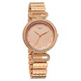 Titan Raga DEC Blaze Quartz Analog Rose Gold Dial Rose Gold Metal Strap Watch For Women - image number 1