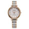 Titan Aura Quartz Analog Silver Dial Two Toned Stainless Steel Strap Watch For Women - image number 0