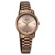 Titan Karishma Quartz Analog Brown Dial Brown Stainless Steel Strap Watch For Women - image number 2