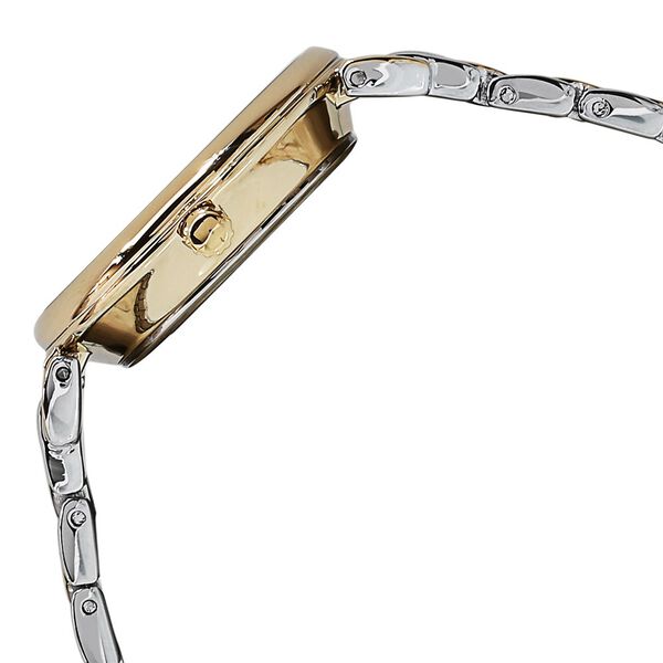 Anne Klein Quartz Analog Silver Dial Metal Strap Watch for Women - image number 2