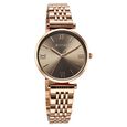 Titan Workmode Quartz Analog Grey Dial Metal Strap watch For Women - image number 1