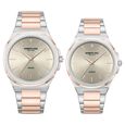 Kenneth Cole Kenneth Cole Quartz Analog Grey Dial With Rose Gold Stainless Steel Strap Watch for Couple - image number 0