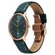 Titan Nebula Lustre 18 Karat Gold Quartz Analog with Date Green Dial Green Leather Strap Watch For Men - image number 2