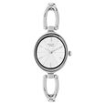 Titan Raga Viva Silver Dial Analog Metal Strap Watch for Women - image number 0