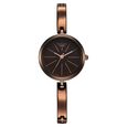 Titan Raga Delight Two Toned Dial Women Watch With Metal Strap