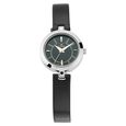 Titan Quartz Analog Silver Dial Golden Metal Strap Watch For Women