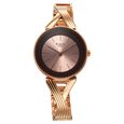 Titan Raga Chic Quartz Analog Rose Gold Dial Metal Strap Watch for Women - image number 0