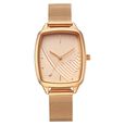 Fastrack Wild Quartz Analog Brown Dial Brown Stainless Steel Strap Watch For Girls