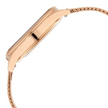Titan Animalia Quartz Analog Stainless Steel Strap Watch for Women