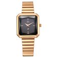 Vyb Flare By Fastrack Quartz Analog Grey Dial Rose Gold Stainless Steel Strap Watch For Girls - image number 1