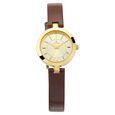 Titan Quartz Analog Silver Dial Golden Metal Strap Watch For Women