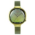Titan Raga Moments of Joy Green Dial Analog Stainless Steel Strap Watch for Women - image number 1