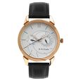 Titan Quartz Analog with Day and Date Brown Dial Leather Strap Watch for Men