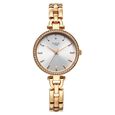 Titan Raga Showstopper Quartz Analog Green Dial Golden Metal Strap Watch For Women