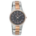 Titan Quartz Analog with Date Black Dial Watch for Men - image number 0