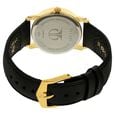 Titan Karishma Champagne Dial Analog with Day and Date Leather Strap watch for Men - image number 3