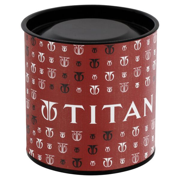 Titan Quartz Analog Champagne Dial Metal Strap Watch for Women - image number 5