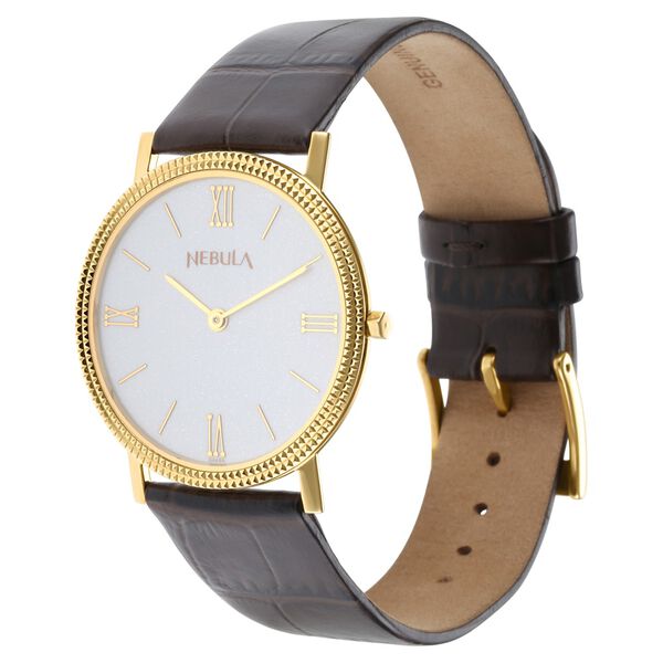 Titan Nebula Vintage 18k Gold Analog Leather Strap Watch for Men - image number 2