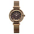 Vyb Celeste By Fastrack Quartz Analog Brown Dial Brown Stainless Steel Strap Watch For Girls - image number 0