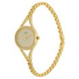 Titan Raga Golden Dial Analog Metal Strap watch for Women - image number 1