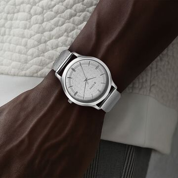Titan Karishma Quartz Analog Silver Dial Stainless Steel Strap Watch for Men