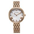 Titan Aura Quartz Analog Titanium Mother of Pearl Dial Titanium Stainless Steel Strap Watch for Women