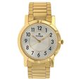 Titan Champagne Dial Analog Stainless Steel Strap Watch for Men