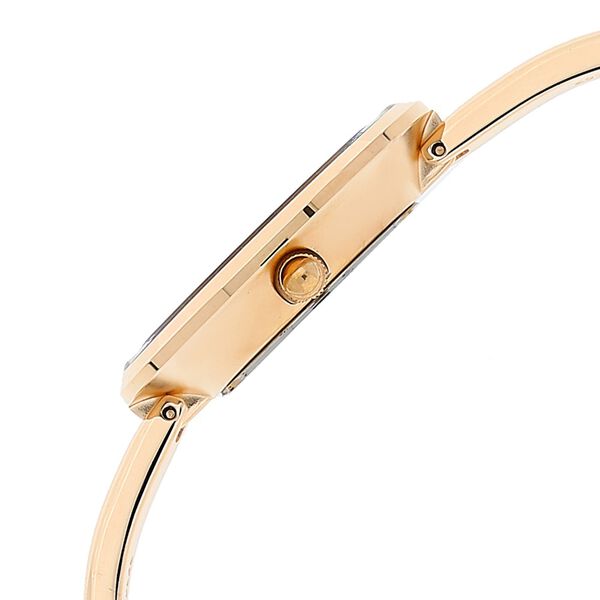 Buy Online Titan Raga Garden of Eden Silver Dial Analog Metal Strap ...