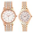 Titan Quartz Analog with Day and Date Silver Dial Stainless Steel Strap Watch for Couple - image number 0