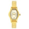 Titan Quartz Analog Silver Dial Stainless Steel Strap Watch for Women