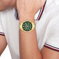 Tommy Hilfiger Quartz Chronograph Green Dial Golden Stainless Steel Strap Watch For Men - image number 3