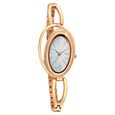 Titan Raga Delight Brown Dial Analog Stainless Steel Strap Watch for Women - image number 1