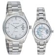 Titan Quartz Analog with Date Silver Dial Watch for Couple - image number 0