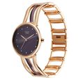 Titan Raga Sierra Quartz Analog Brown Dial Two Toned Metal Strap Watch For Women - image number 2