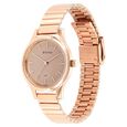 Titan Karishma Brown Dial Metal Strap Watch for Women - image number 2