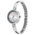 Titan Raga Viva Silver Dial Metal Strap Watch for Women - image number 2