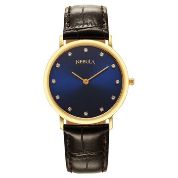 Titan Nebula Vintage 18k Gold Analog with Diamond Studded Indices Watch for Men