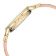 Anne Klein Quartz Analog Pink Dial Acrylic Strap Watch for Women - image number 1