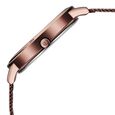 Titan Razzle Dazzle Quartz Analog Brown Dial Stainless Steel Mesh Strap Watch For Women - image number 3
