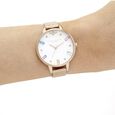 Olivia Burton Quartz Analog White Dial Stainless Steel Strap Watch for Women - image number 3