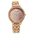 Titan Glitz Purple Dial Analog Stainless Steel Strap Watch for Women