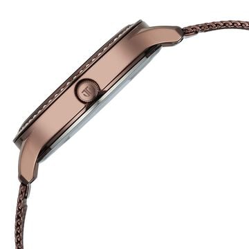 Titan Purple Superheads Quartz Analog Brown Dial Brown Stainless Steel Strap Watch For Women
