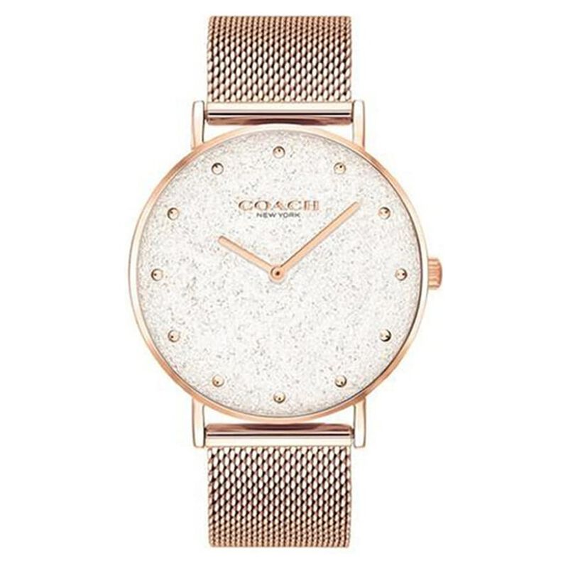Coach Quartz Analog Silver Dial Stainless Steel Strap Watch for Women