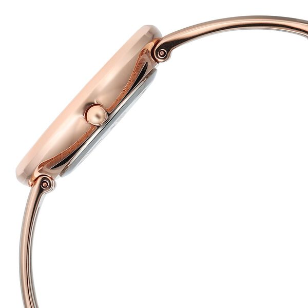 Titan Raga Contempore Quartz Analog Rose Gold Dial Rose Gold Metal Strap Watch For Women - image number 4