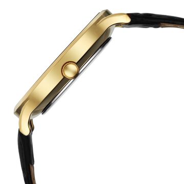 Sonata Sonata Gold Quartz Analog Sacred Forest Green With Gold Coin Dial Black Leather Strap Watch For Men