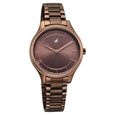 Fastrack Stunners Quartz Analog Brown Dial Brown Metal Strap Watch For Girls - image number 1
